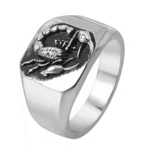 bague acier scorpion affirmez votre style punk rock argent 54 4 mm roas200 345 1