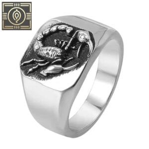 Bague Acier Scorpion: Affirmez Votre Style Punk Rock - Argent / 54.4 Mm