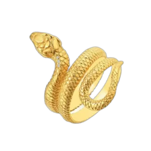 Bague Anneau Serpent En Acier Inoxydable: Idéale Pour Toutes Occasions - Modèle 1 / 51.9 Mm