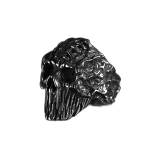 bague chevaliere crane malefique en acier inoxydable 54 mm roas300 119 1