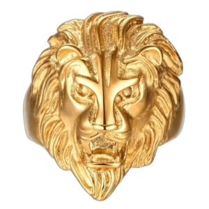 Bague Chevalière Lion Gitan En Acier Inoxydable - 54.4 Mm