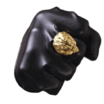 bague chevaliere lion gitan en acier inoxydable roas200 222 1