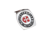 bague chevaliere templier en acier puissance et noblesse roas250 674 9b0c1e7d b362 452c b4a0 fbedd4991fb7 1