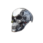 bague chevaliere tete de mort look gothique agressif roas200 736 1