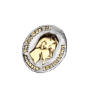 bague en acier inoxydable chevaliere napoleon un style historique unique roas200 138 1
