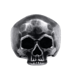 bague gothique skull style intransigeant en acier inoxydable roas200 647 1