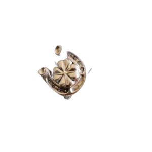 Bague Porte-bonheur En Argent 925 - Style Unique Chevalière Fer - 54 Mm