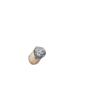 bague tete de lion en acier lautorite supreme du roas200 843 1