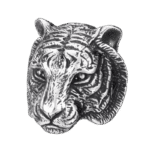 bague tete de tigre homme audace et durabilite en acier inoxydable 54 4 mm modele 1 223 1