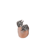 decouvrez la bague griffe ours ultime roas250 438 1